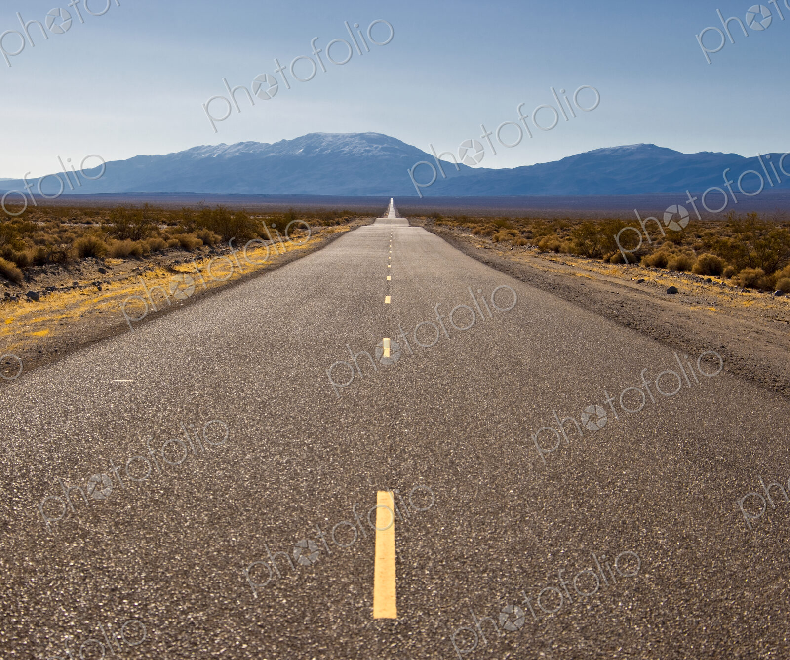 Highway Through Desert
