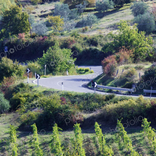 Highway in rural landscape with vines. Highway in rural landscape with vines.
