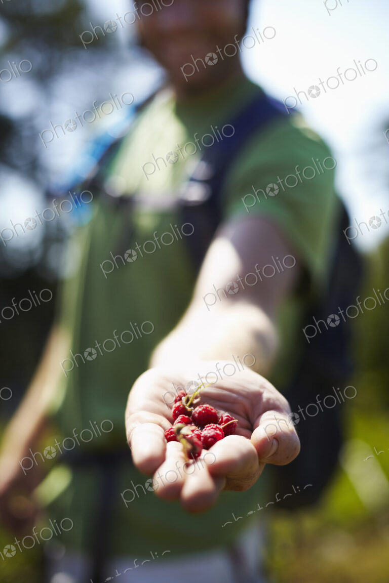 Hiker on Trail with Native Raspberries