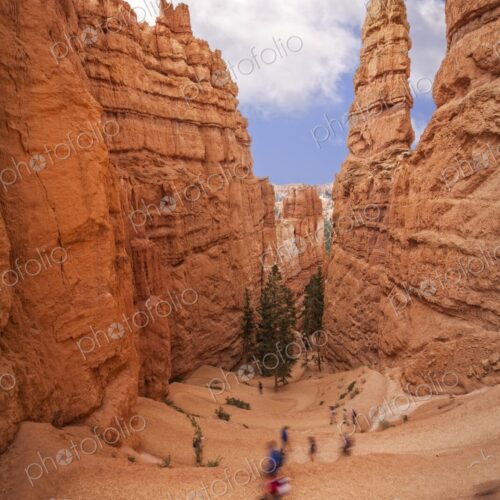 Hikers explore the Navajo Loop Trail winding through towering hoodoos in Bryce Canyon.…
