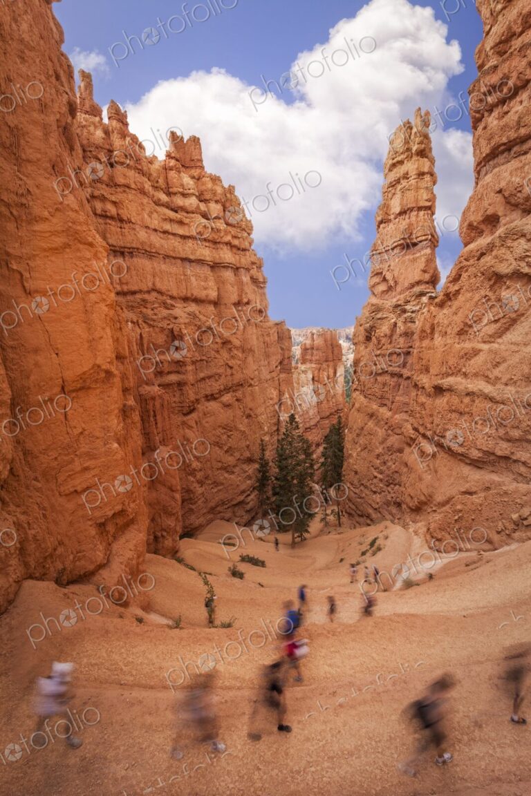 Hikers explore the Navajo Loop Trail winding through towering hoodoos in Bryce Canyon.…