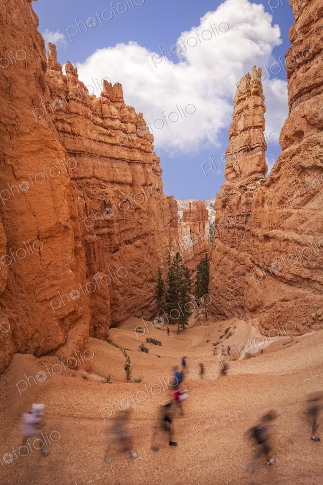 Hikers explore the Navajo Loop Trail winding through towering hoodoos in Bryce Canyon.…