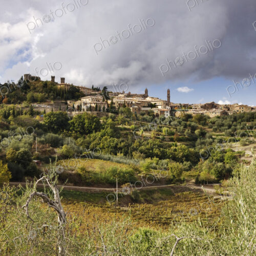 Hill Town of Montalcino Hill Town of Montalcino