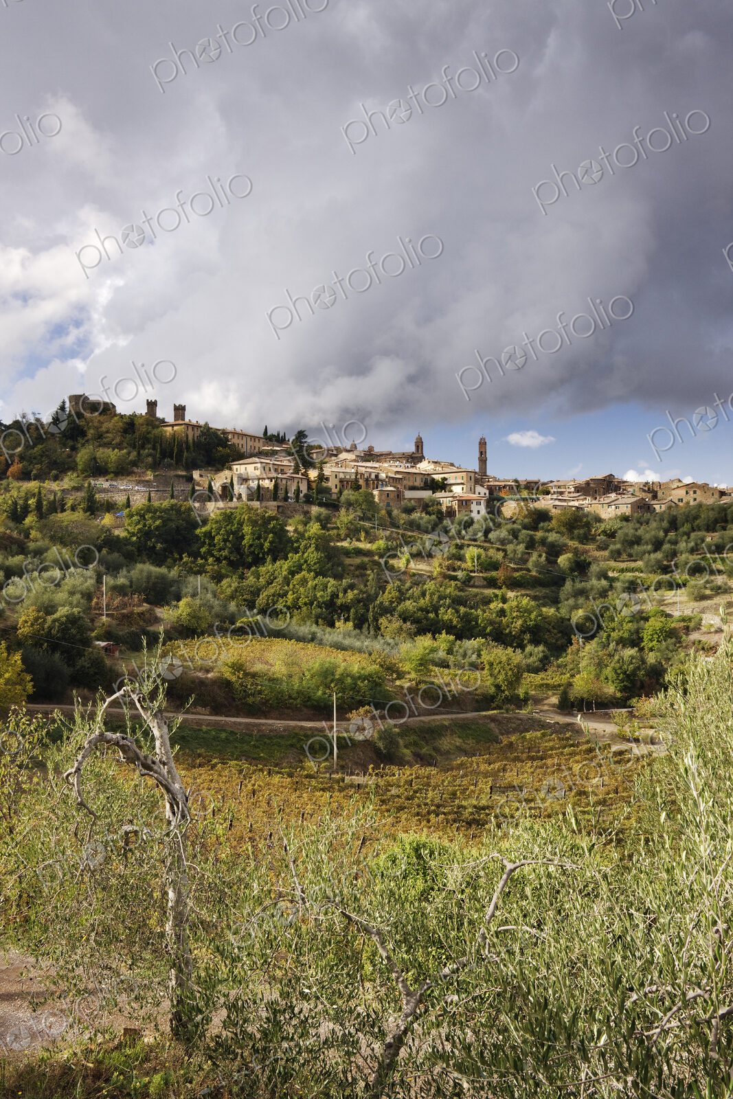 Hill Town of Montalcino