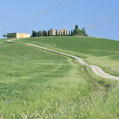 Hilltop Farm House Hilltop Farm House