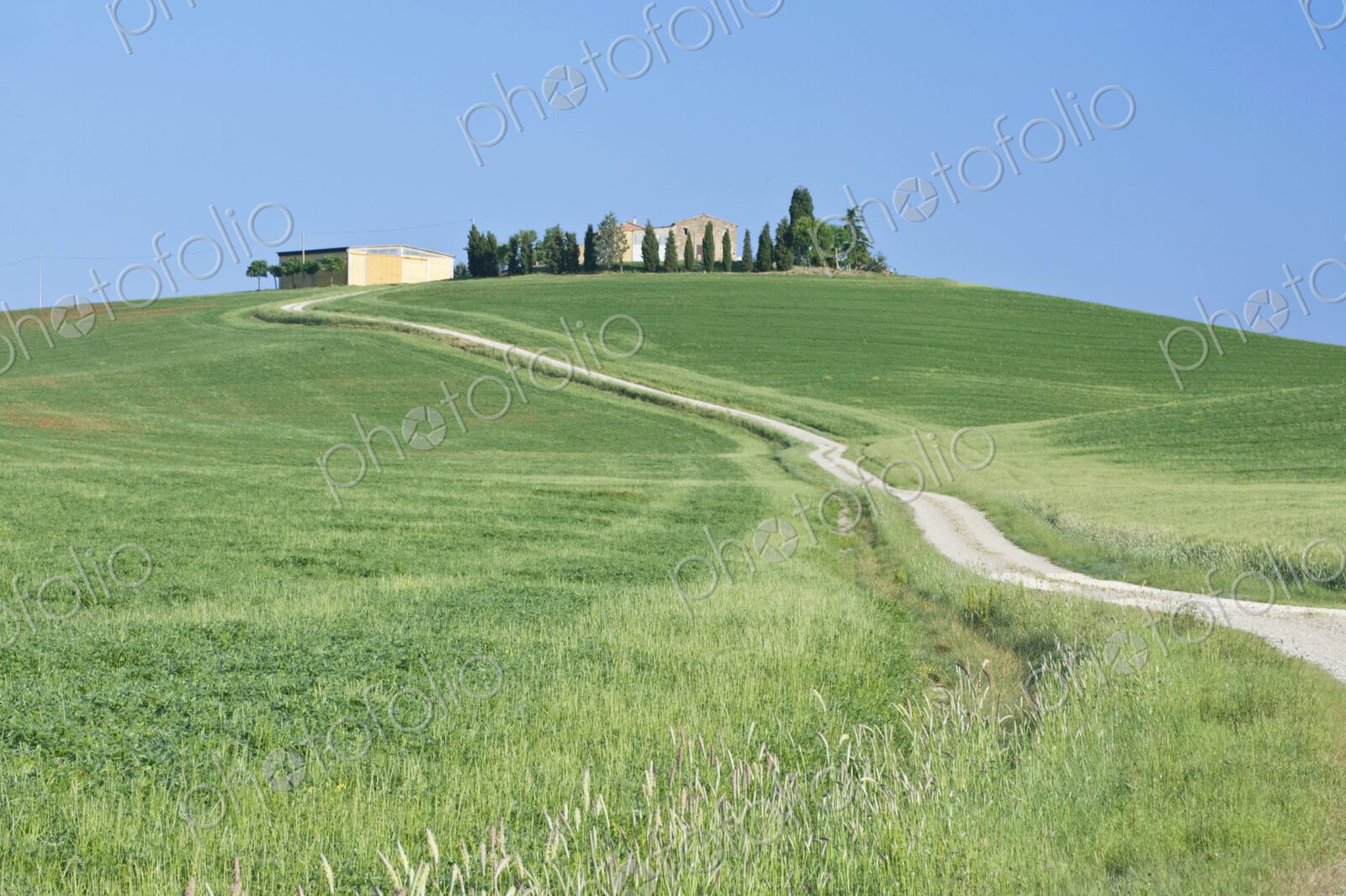 Hilltop Farm House