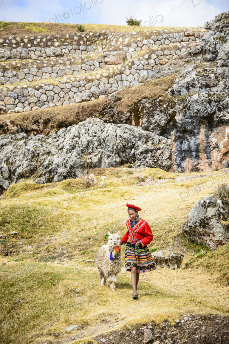 Hispanic girl walking llama in rural landscape