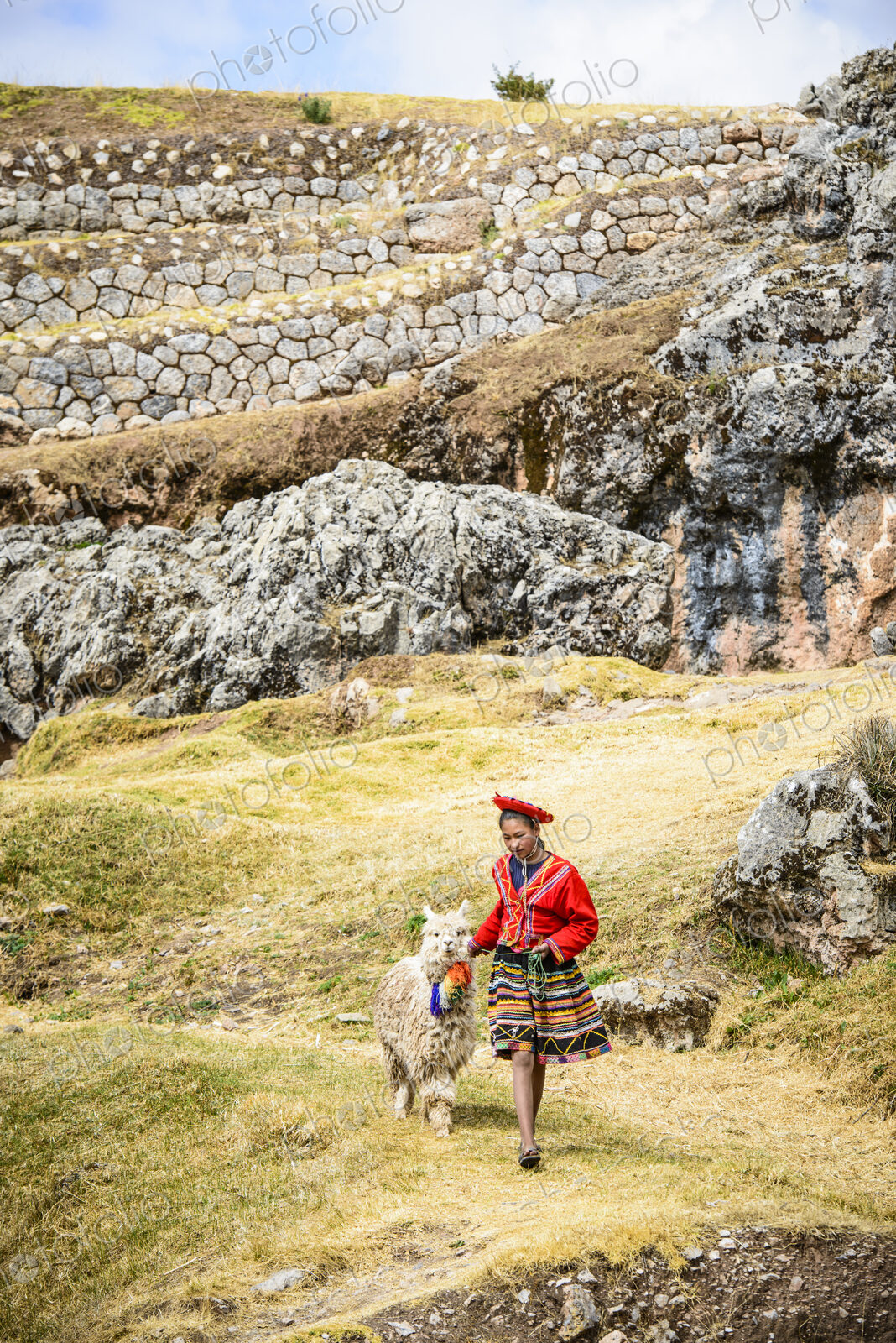 Hispanic girl walking llama in rural landscape