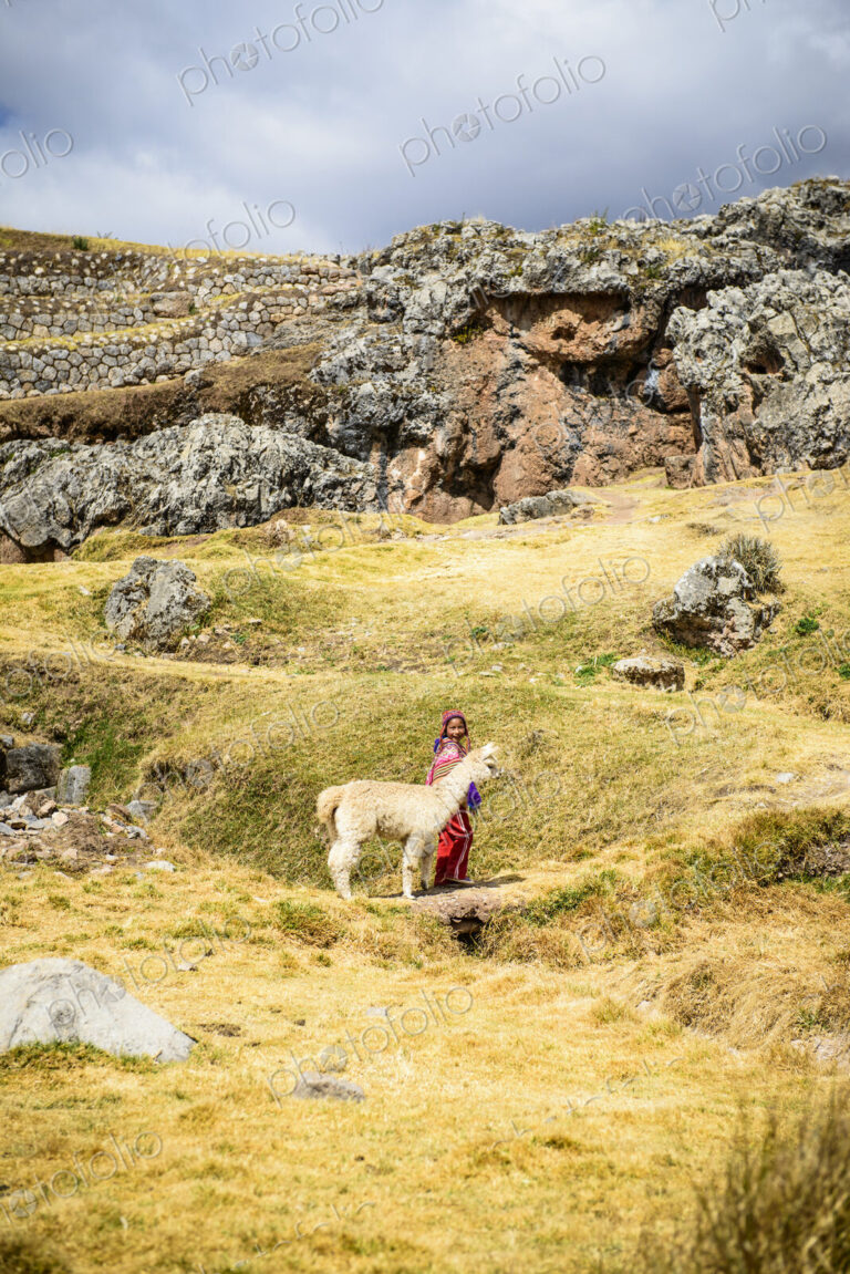 Hispanic girl walking llama in rural landscape