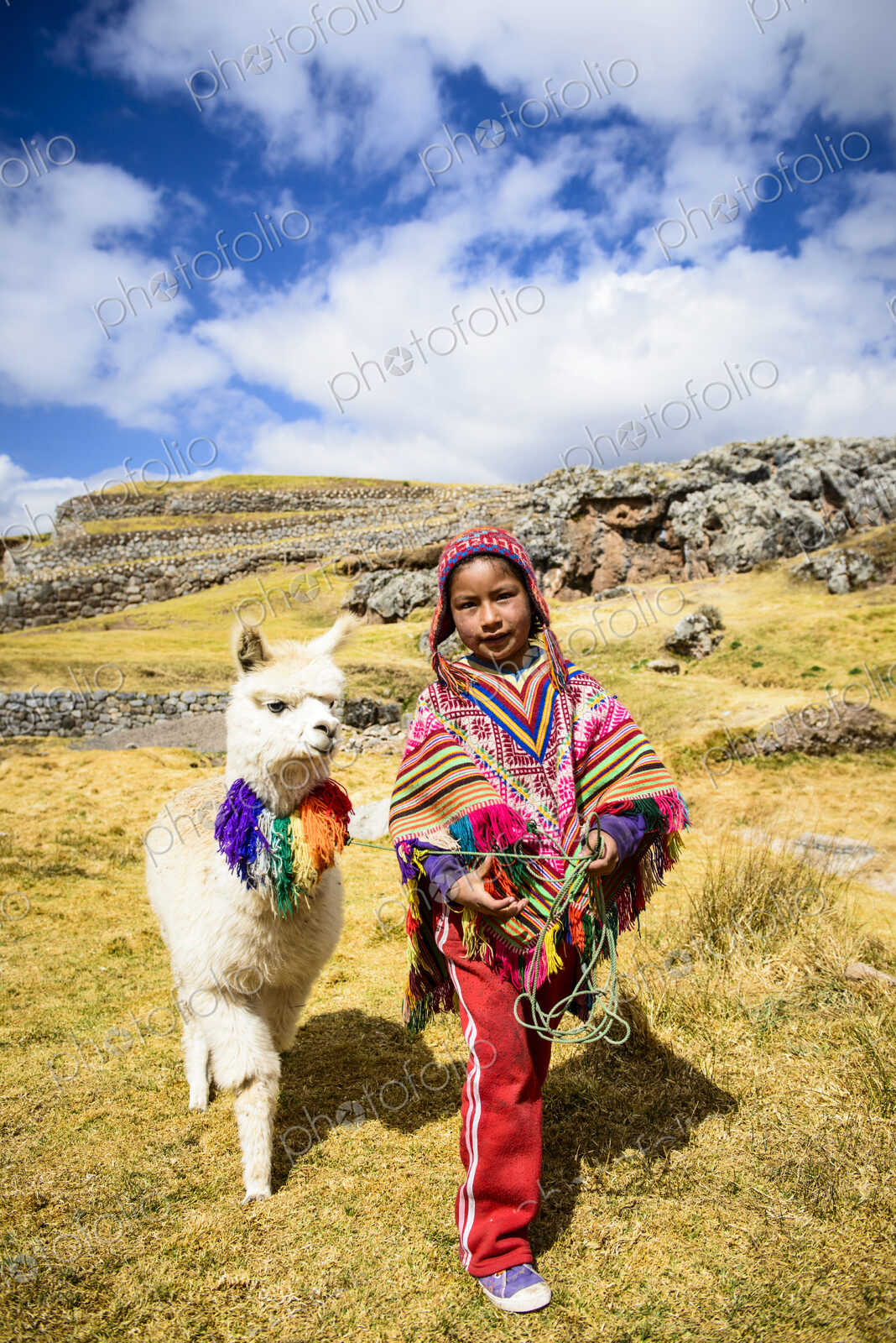Hispanic girl walking llama in rural landscape