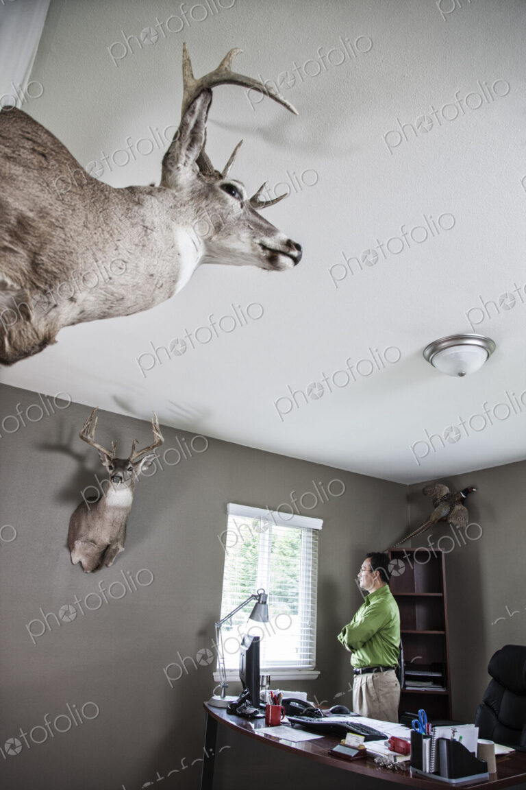 Hispanic man standing at window in his office with mounted deer heads on the walls.