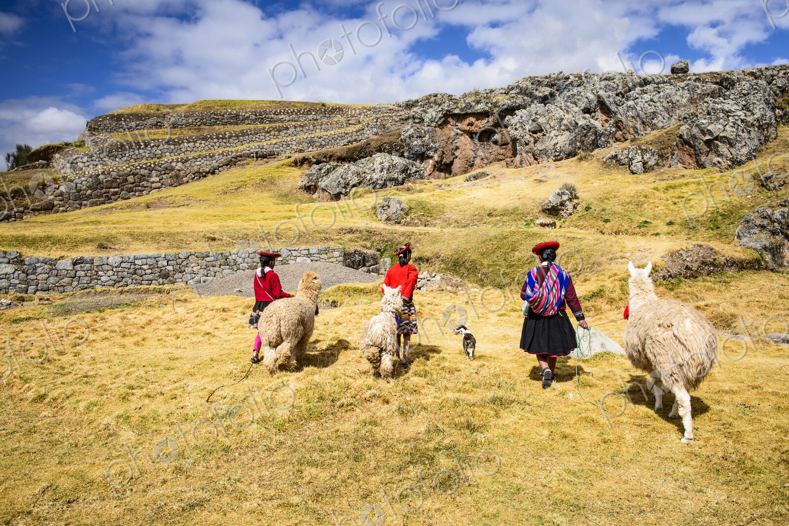 Hispanic mother and children walking llamas in rural landscape