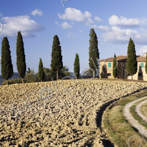 Home in Isolated Landscape Home in Isolated Landscape