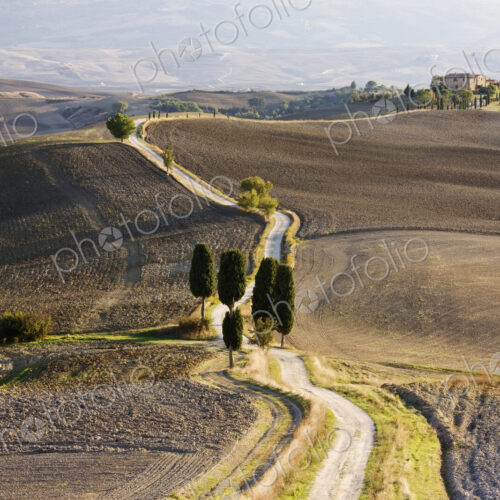 Home in Isolated Landscape Home in Isolated Landscape