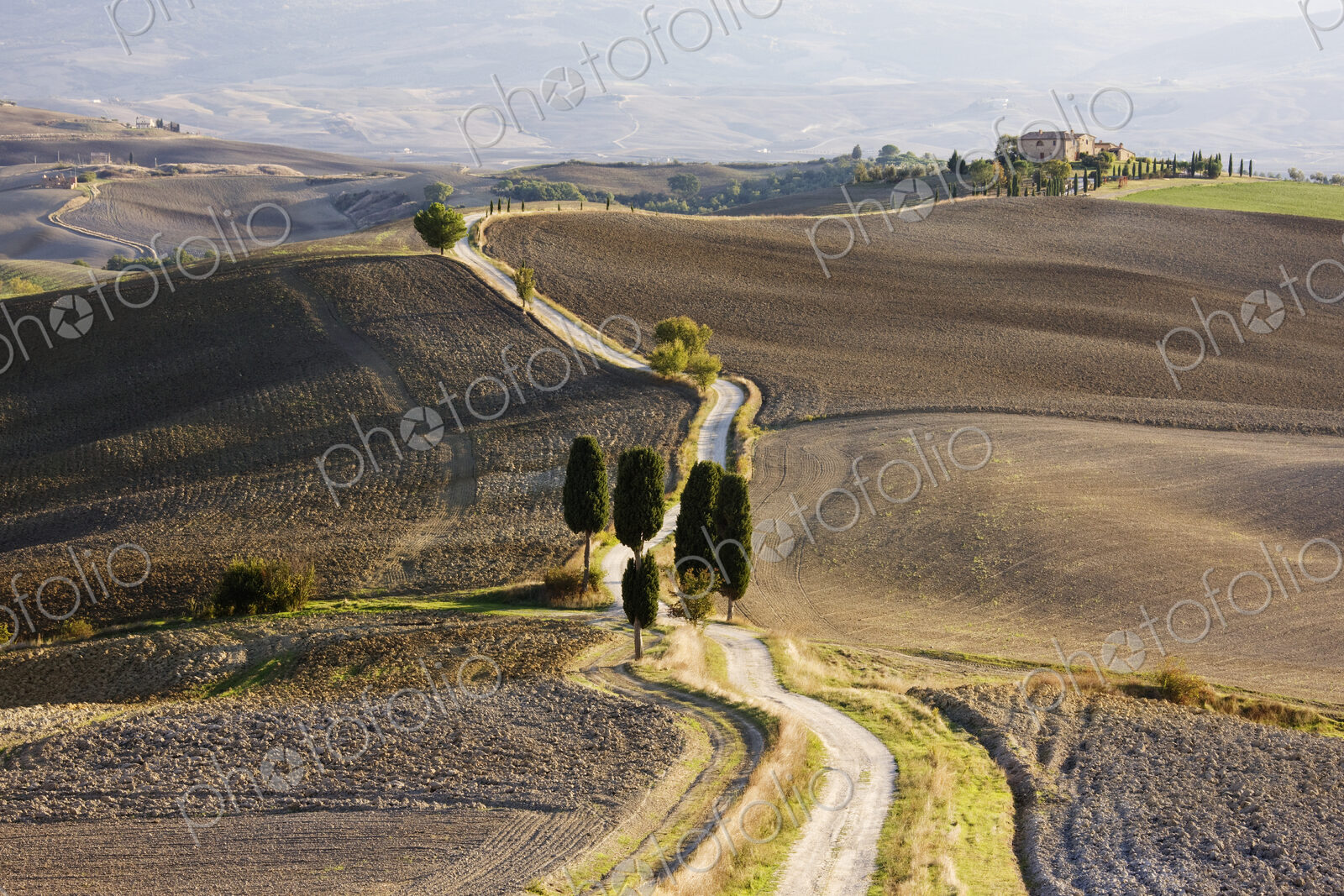 Home in Isolated Landscape