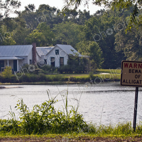 Home in Swampland