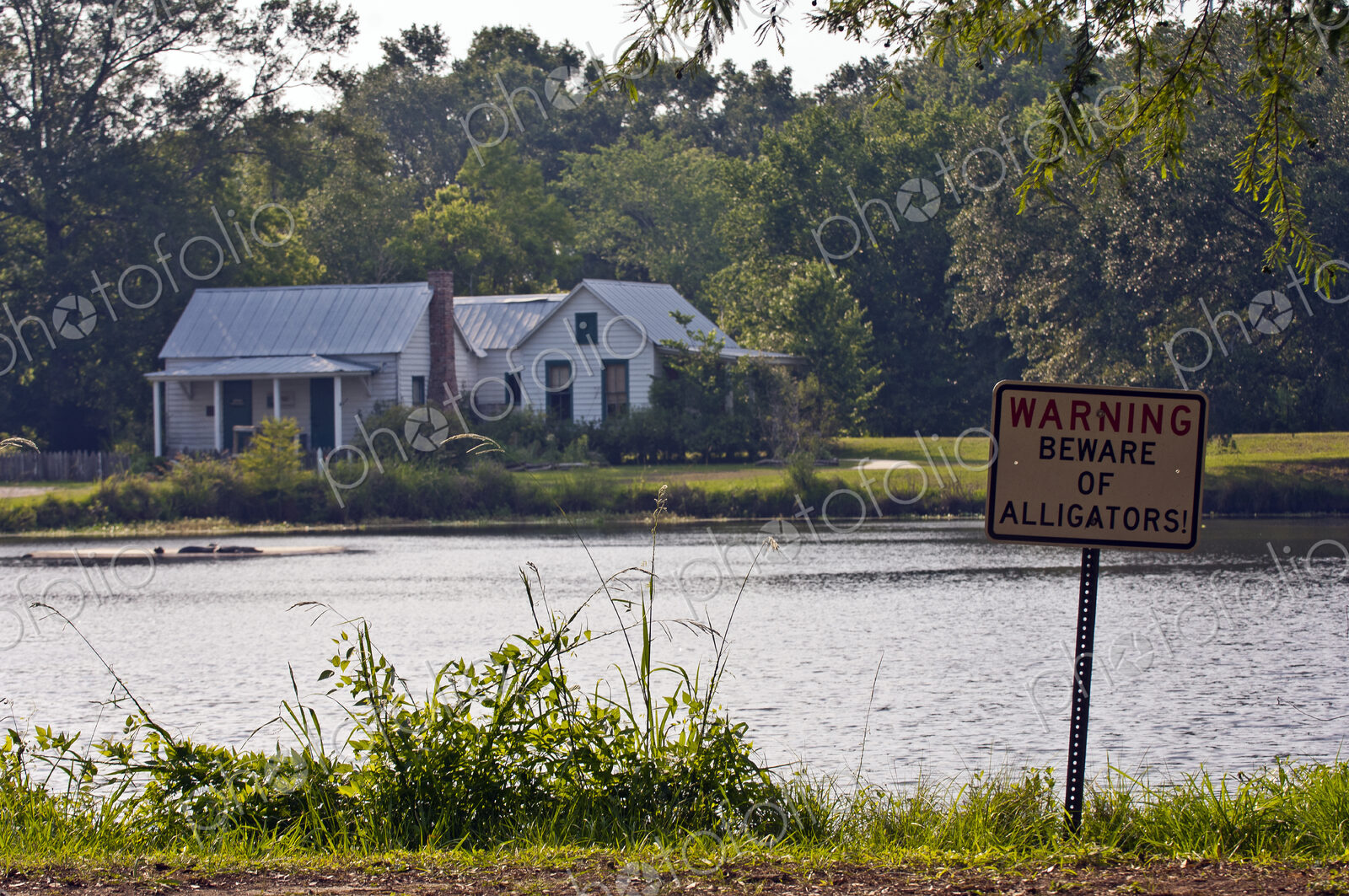 Home in Swampland