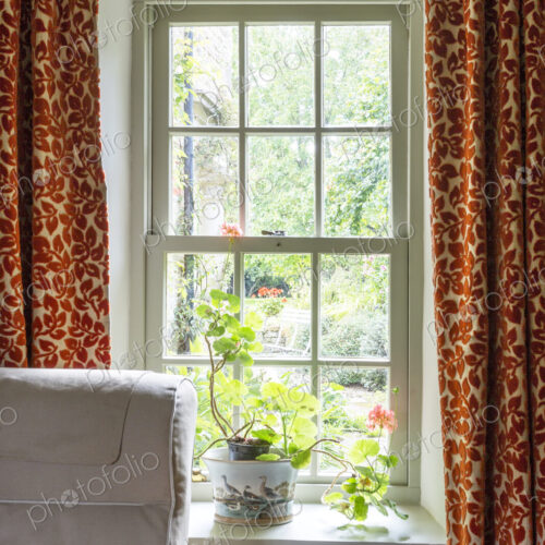 Home interior, Potted plant on windowsill Home interior, Potted plant on windowsill