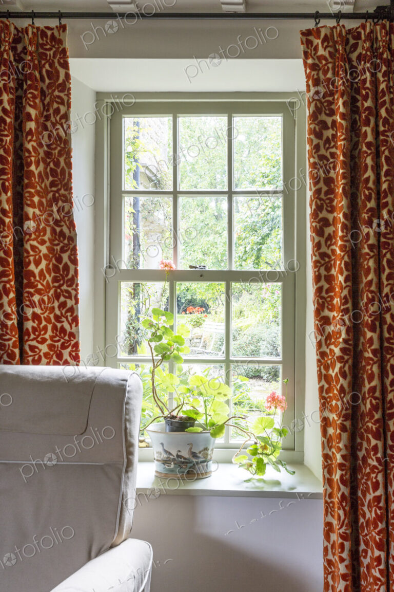 Home interior, Potted plant on windowsill