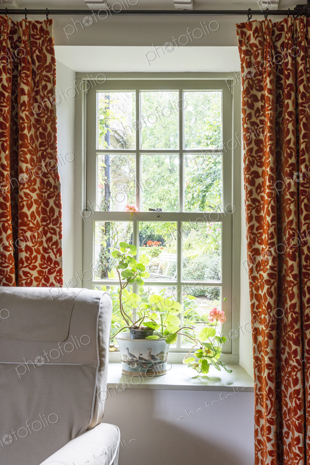 Home interior, Potted plant on windowsill