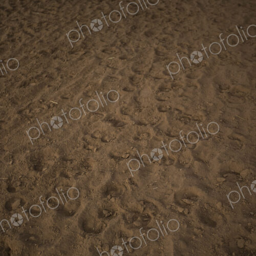Hoof prints in dirt