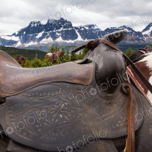 Horses, Jasper National Park, Alberta, Canada Horses, Jasper National Park, Alberta, Canada