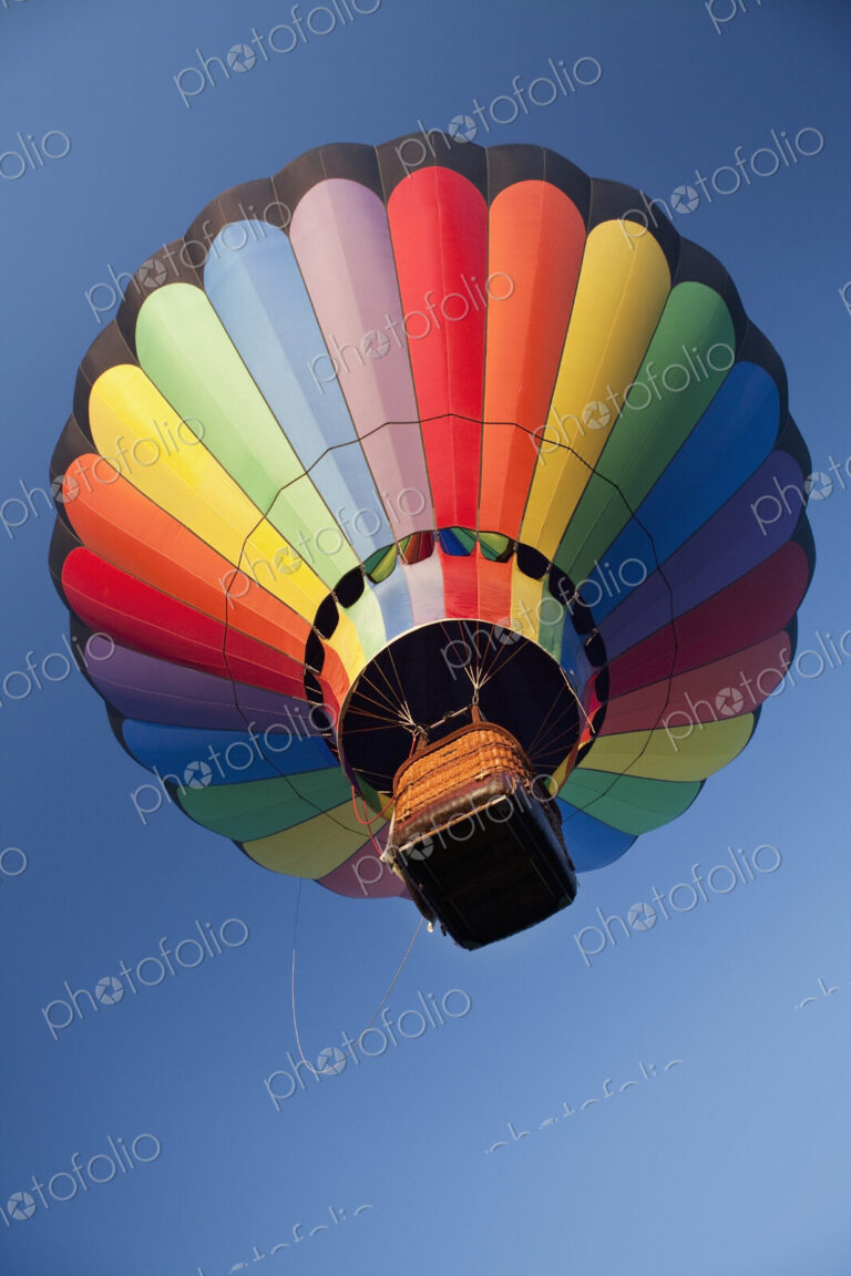 Hot Air Balloon In Flight