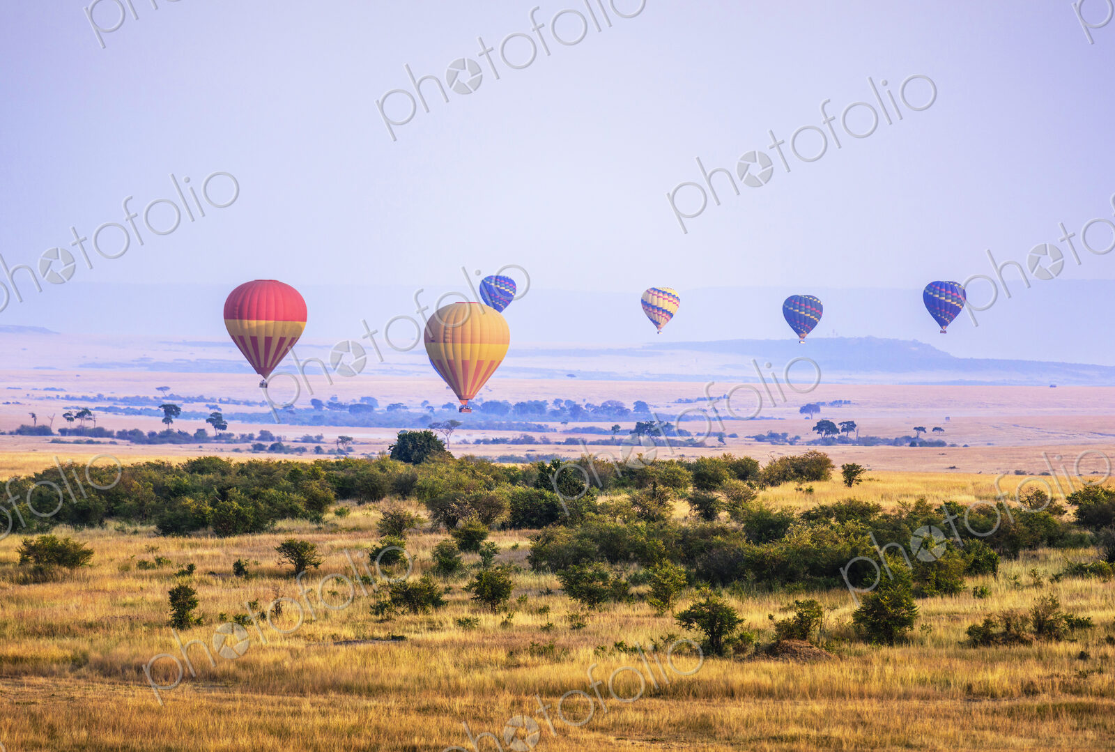 Hot air balloons flying over savanna landscape