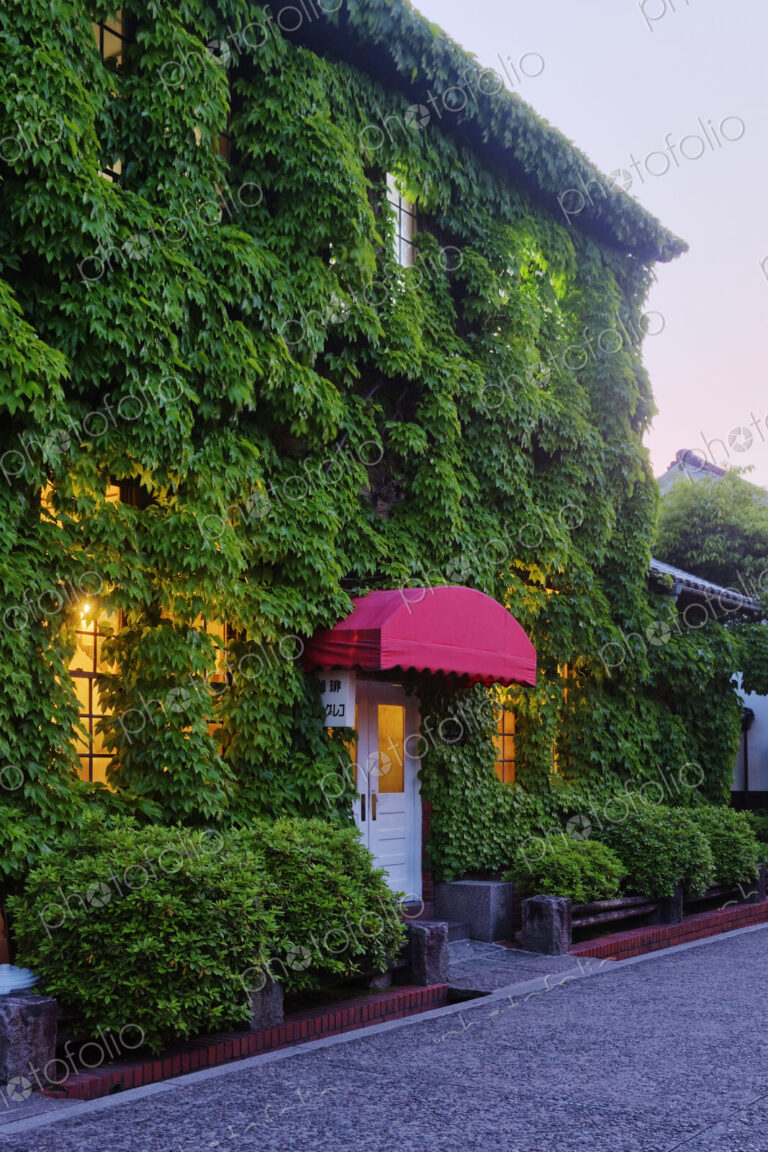 House Covered in Ivy