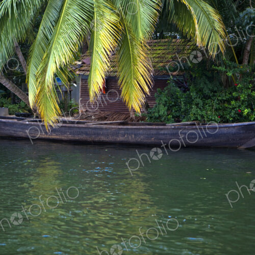 House boat on the waterway, thick forest House boat on the waterway, thick forest