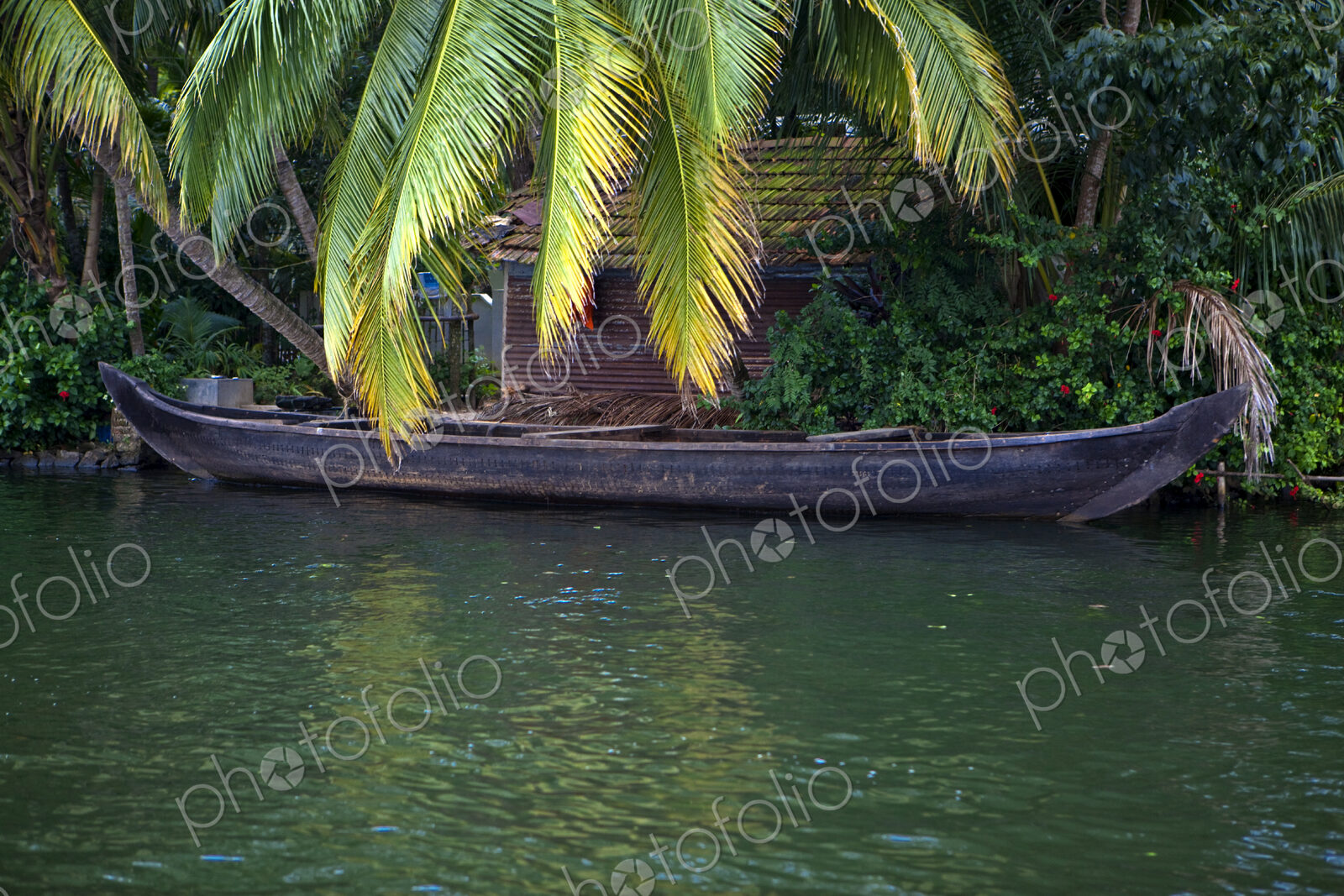 House boat on the waterway, thick forest