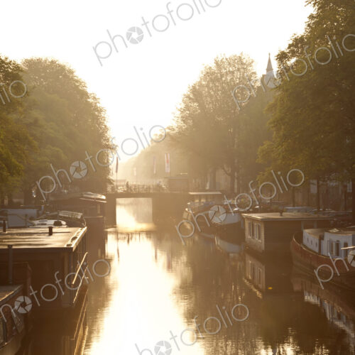 House boats moored on tree-lined canal at sunrise.