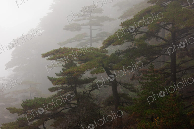 Huang Shan, Anhui Province, China