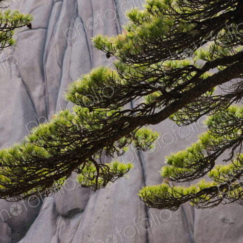 Huang Shan landscape, China