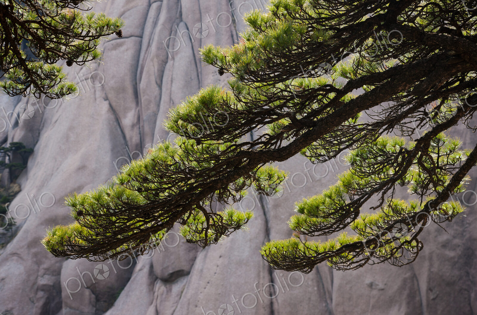 Huang Shan landscape, China