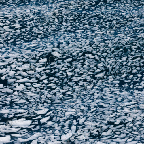 Ice chunks afloat, Antarctica Ice chunks afloat, Antarctica