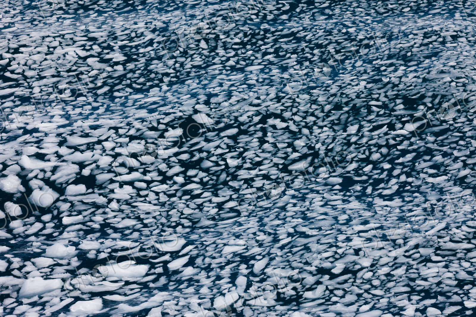 Ice chunks afloat, Antarctica
