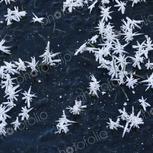 Ice crystals, Washington