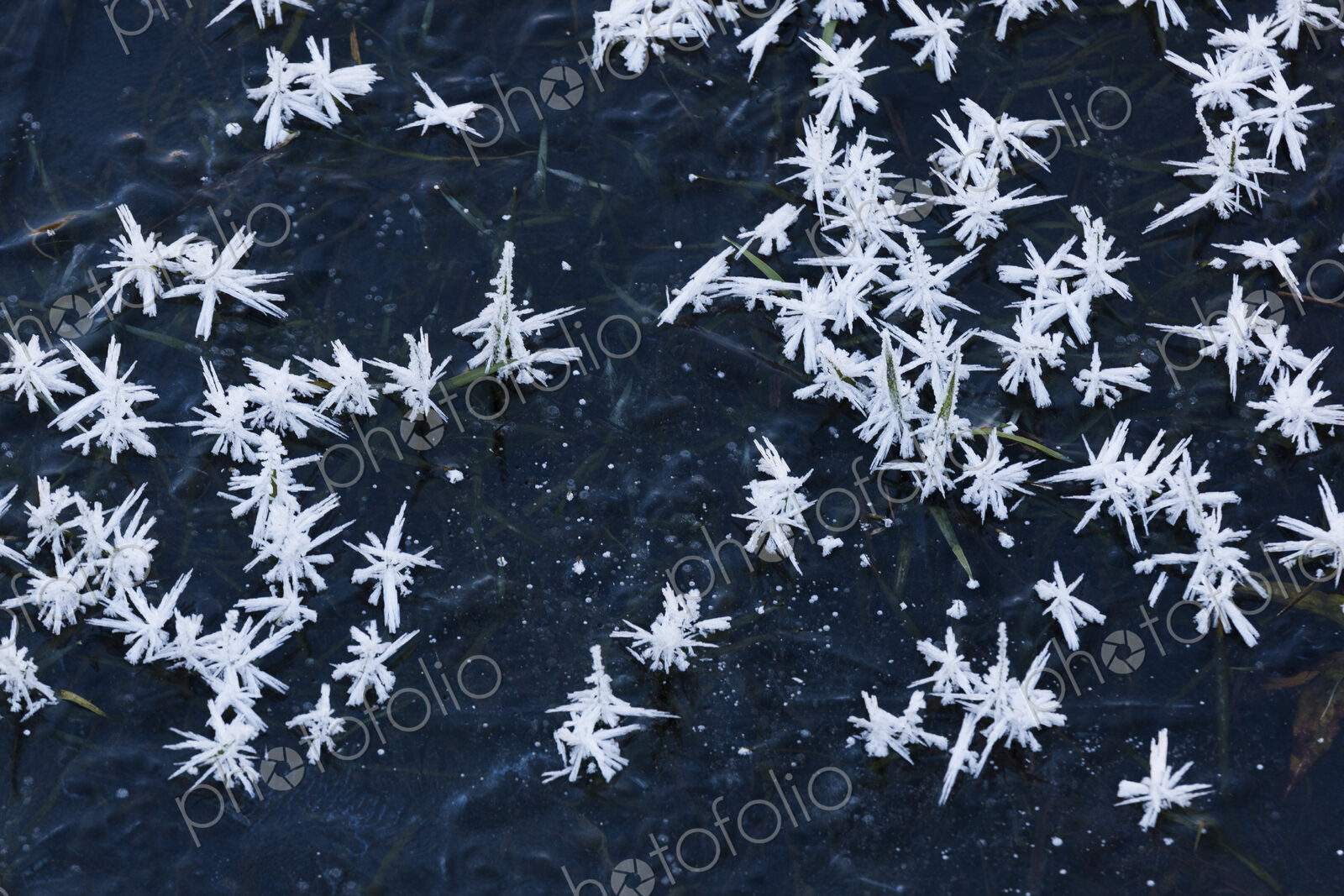 Ice crystals, Washington