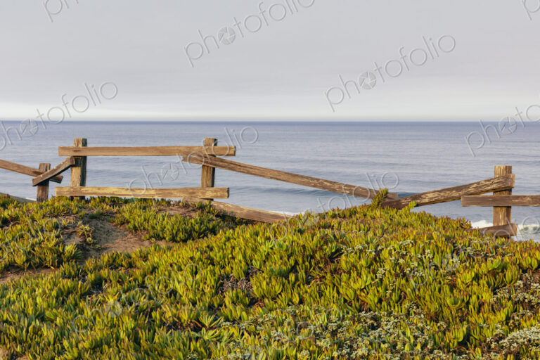 Ice plant ground cover by old wooden fence, ocean in distance
