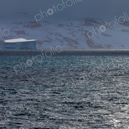 Icebergs, Antarctica