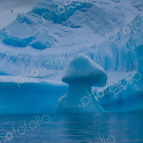 Icebergs, Antarctica Icebergs, Antarctica