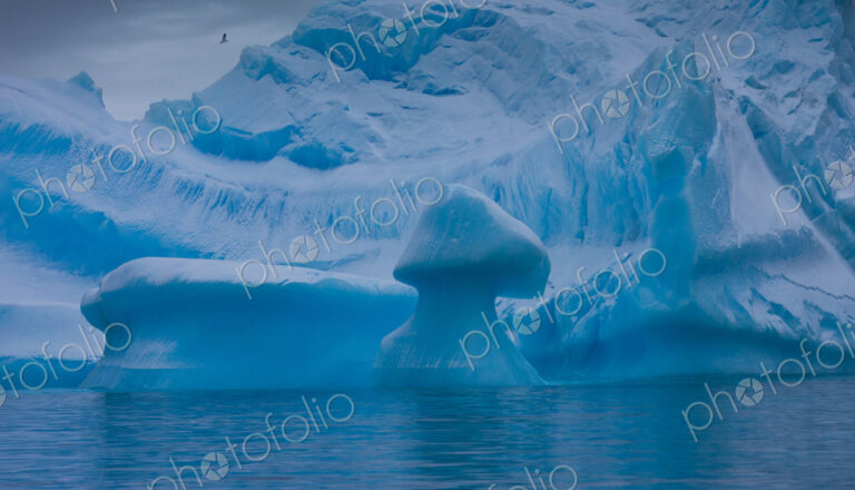 Icebergs, Antarctica