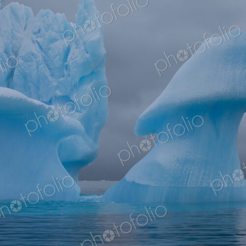Icebergs with eroding and changing form drifting on the water, Antarctica Icebergs with eroding and changing form drifting on the water, Antarctica