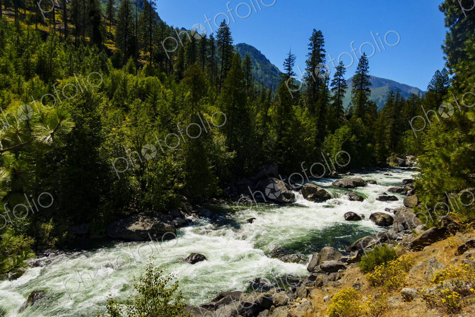 Icicle Creek, a view of the white water flowing down over rocks in a gorge.