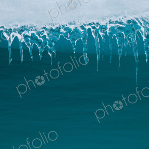 Icicles hanging from an iceberg, Antarctica Icicles hanging from an iceberg, Antarctica