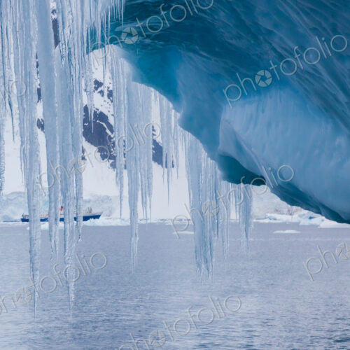 Icicles hanging from an iceberg, Antarctica