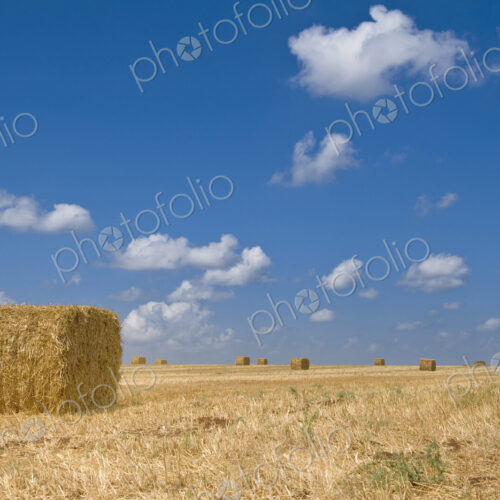 Idyllic Hay Field Idyllic Hay Field