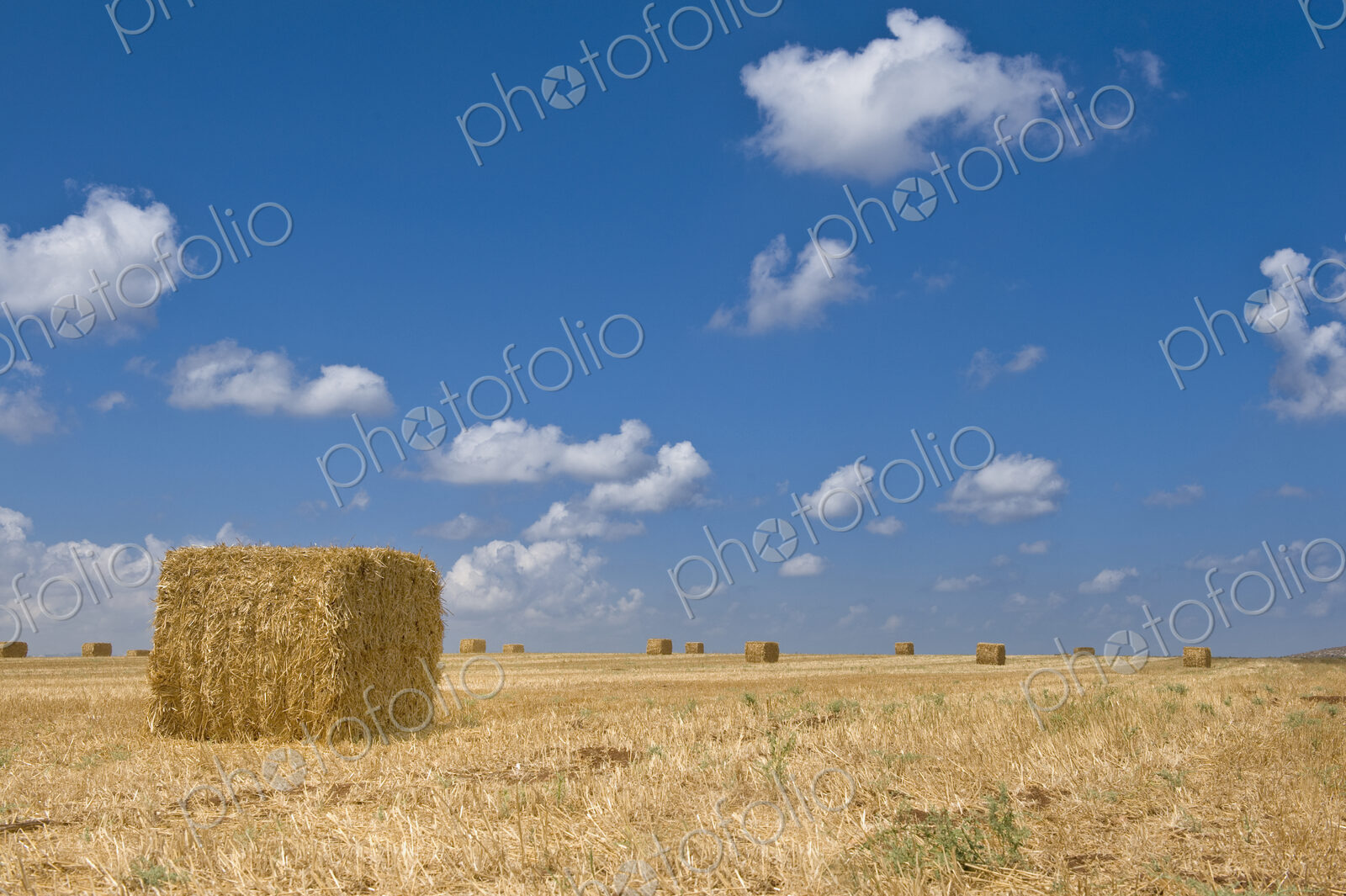Idyllic Hay Field