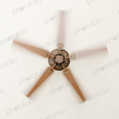 Indoor Ceiling Fan